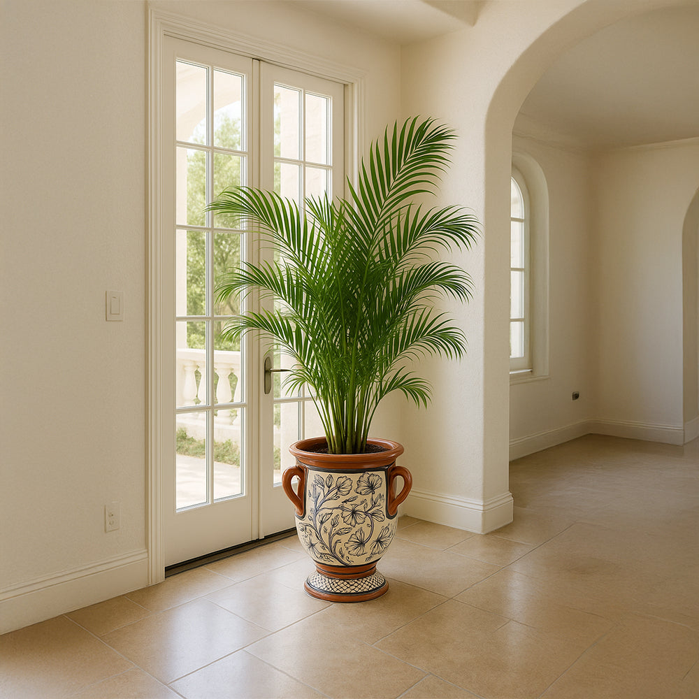 Urna de terracota con flores azules