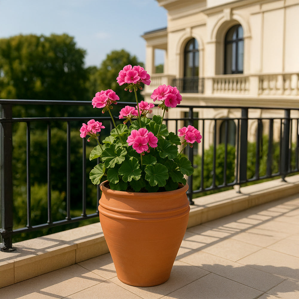 Maceta decorativa de terracota con borde recto y boca ancha