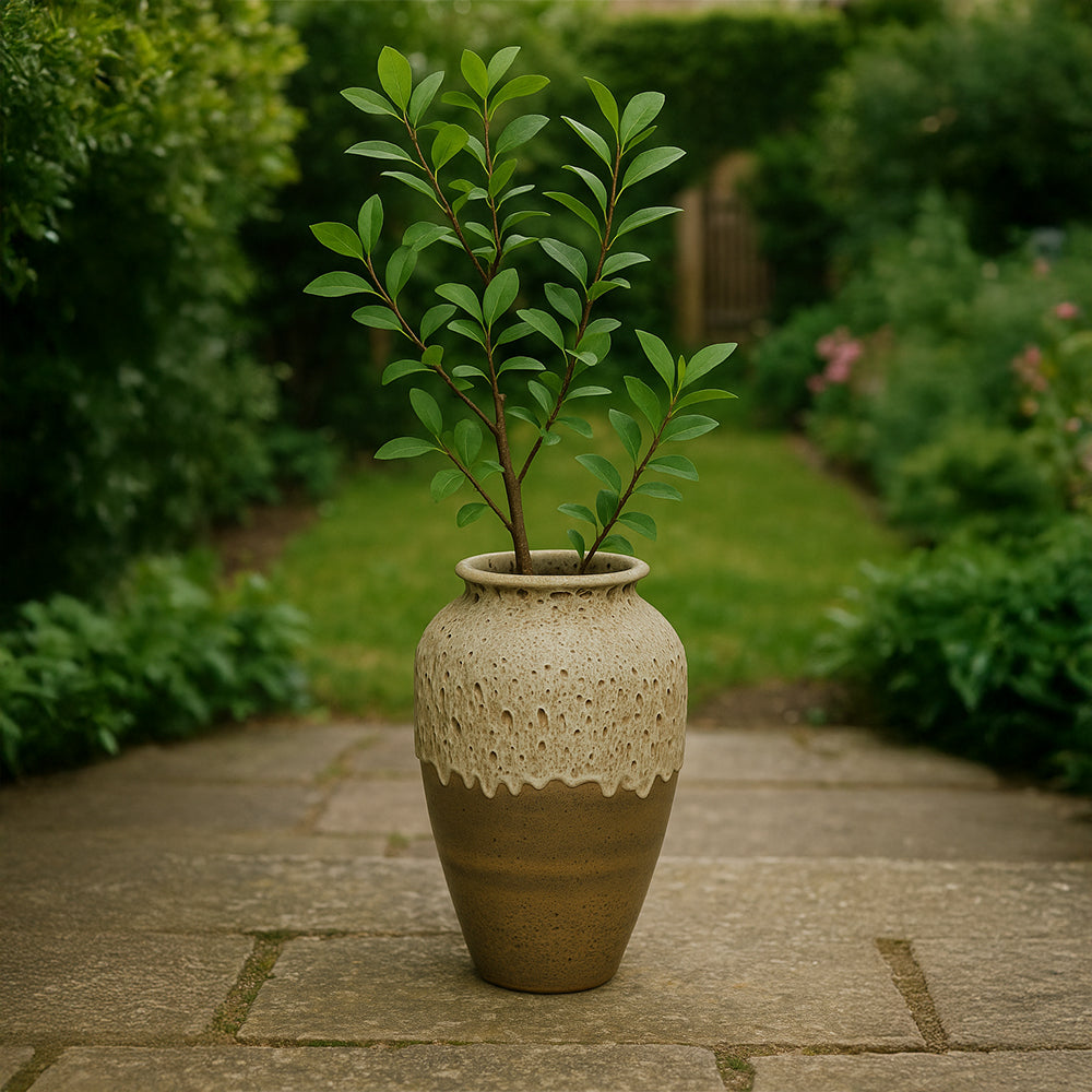 Dekorativer Keramik-Pflanztopf in Tropfbraun