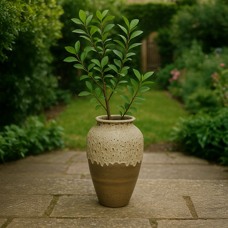 {{ file.title }} - Handcrafted Ceramic & Terracotta by Clayspire