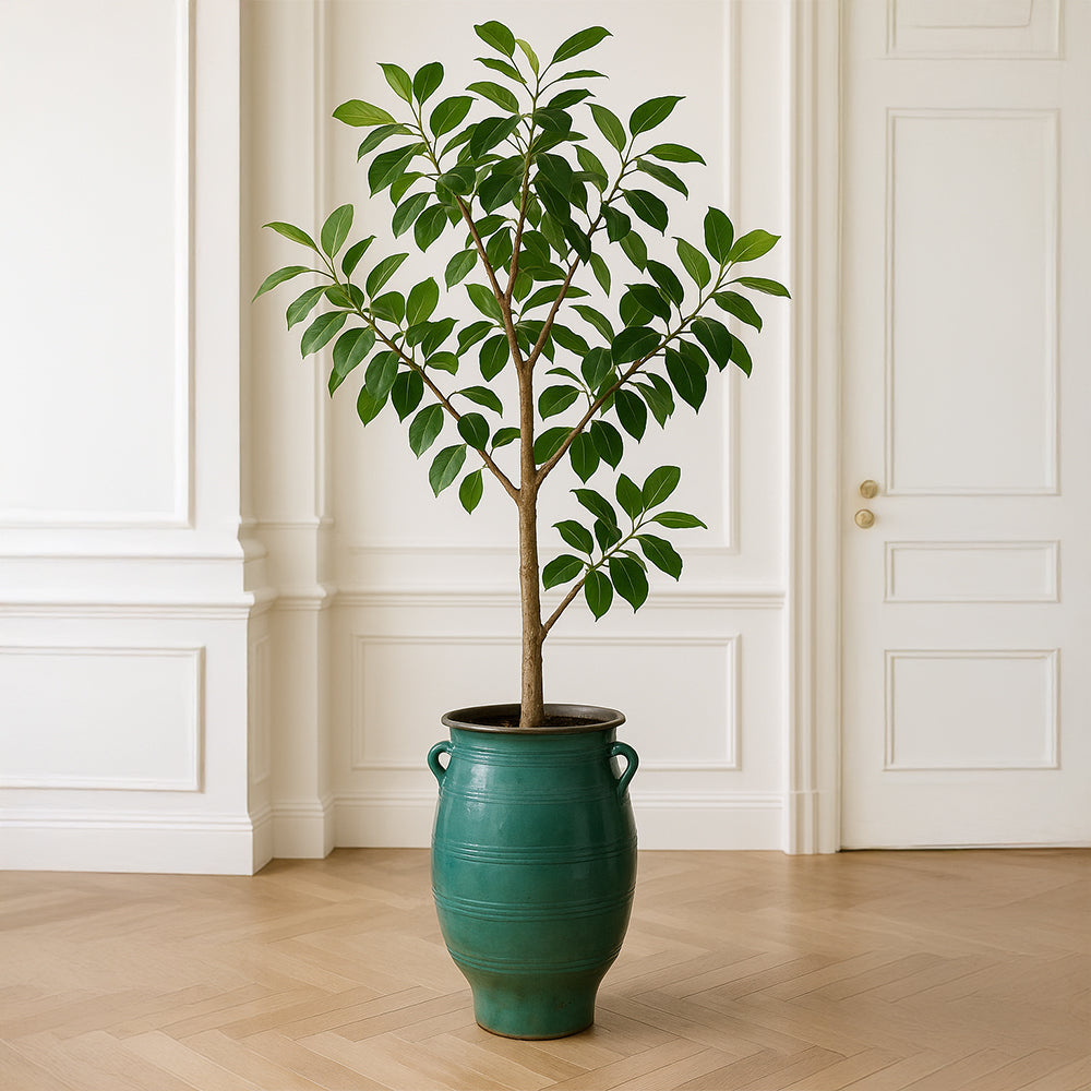 Maceta decorativa de cerámica con forma de barril esmeralda