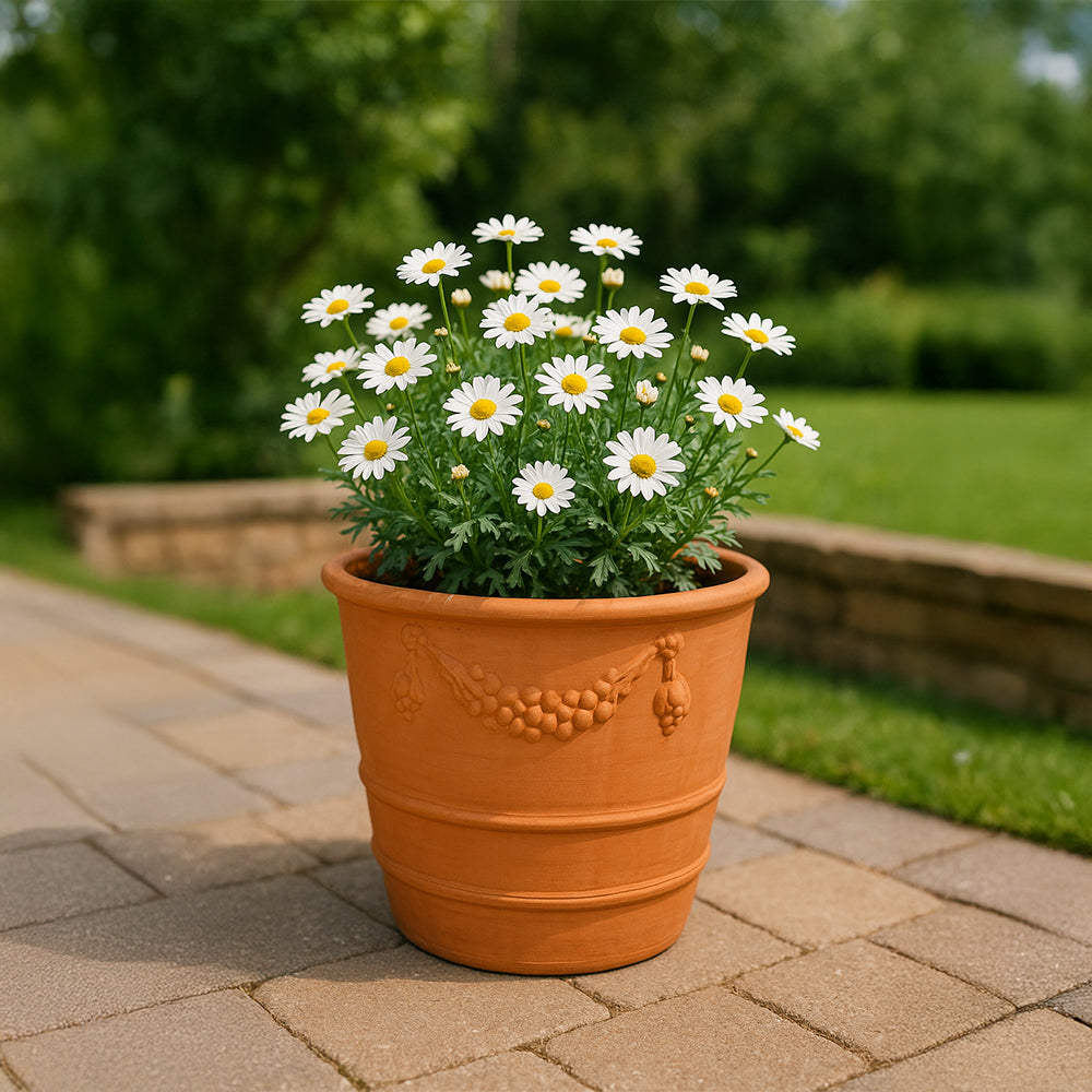 Maceta decorativa de terracota con borde de vid
