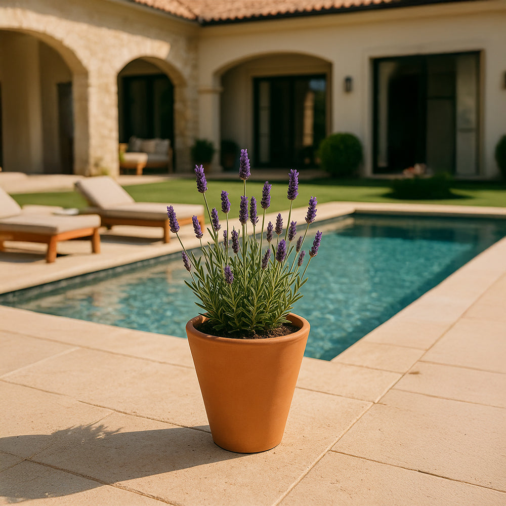 Jardinera alta decorativa de terracota Catania
