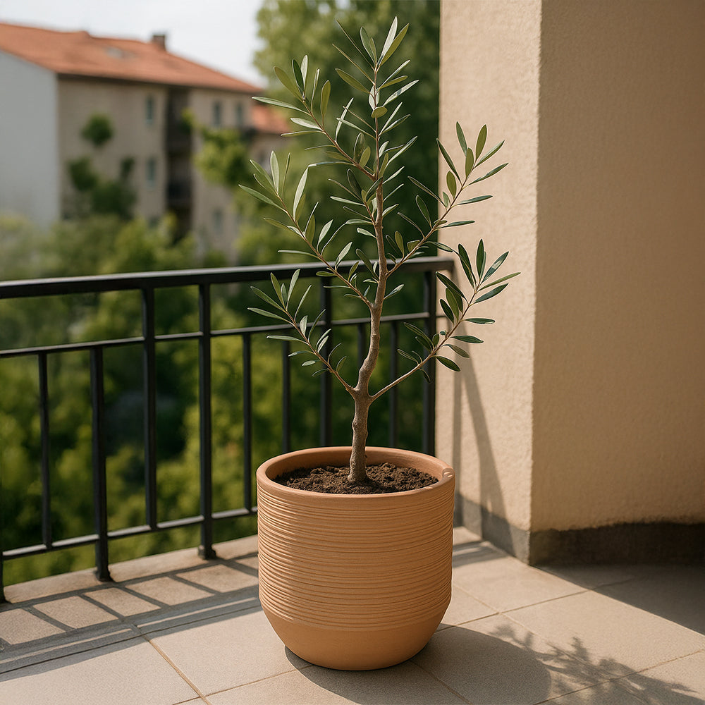 Jardinera baja decorativa de terracota con nervaduras de arenisca