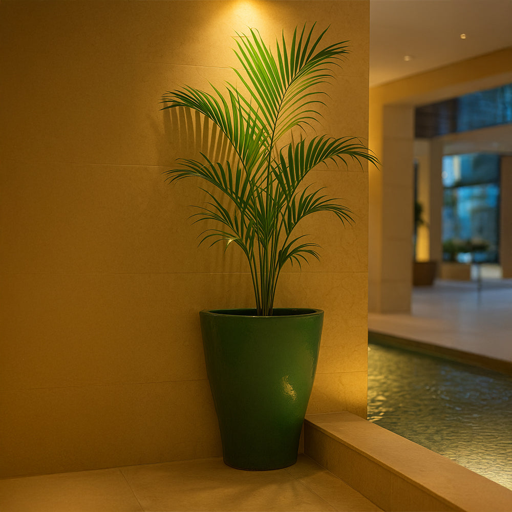 Jardinera decorativa contemporánea de cerámica verde