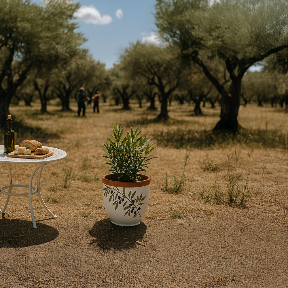 Maceta de terracota con forma de rama de olivo blanca