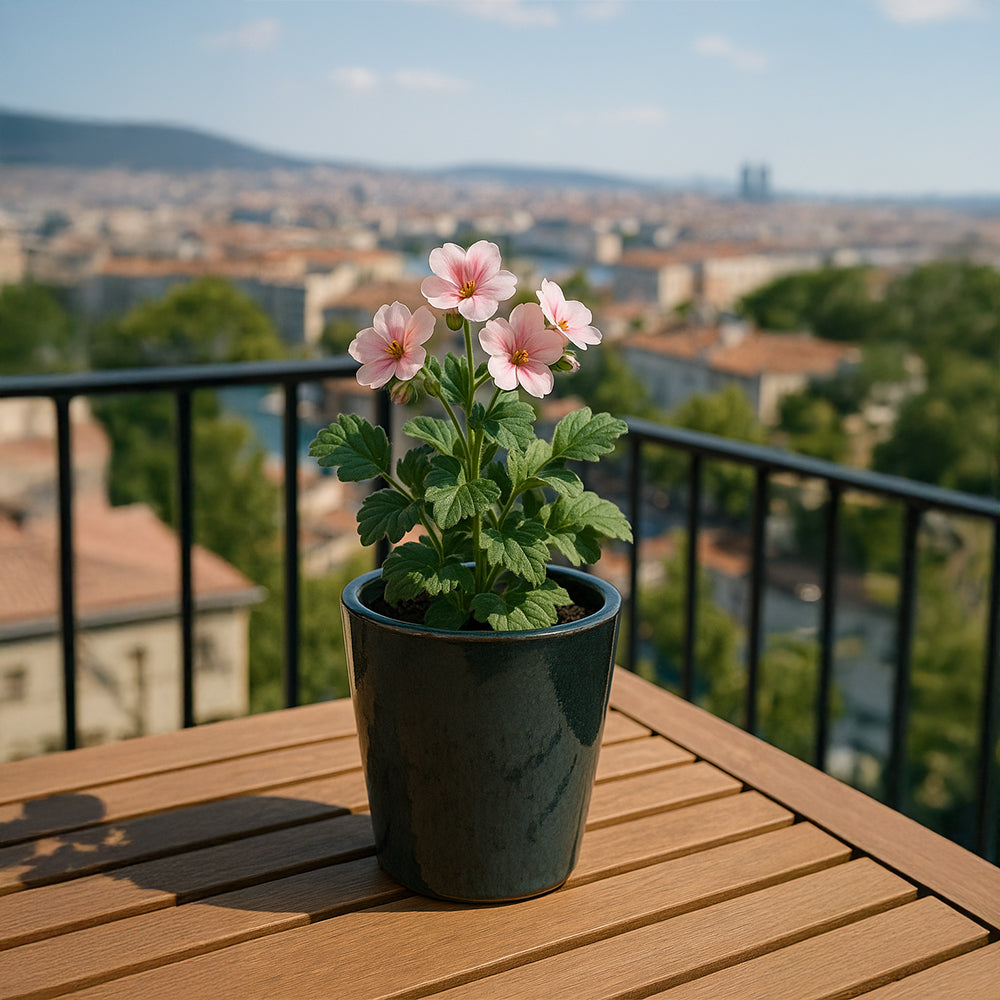 Maceta de cerámica azul medianoche