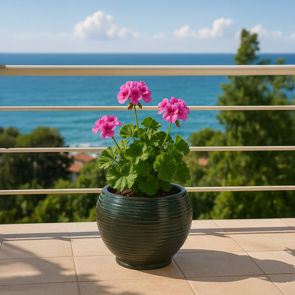 Maceta de cerámica con forma de globo forestal