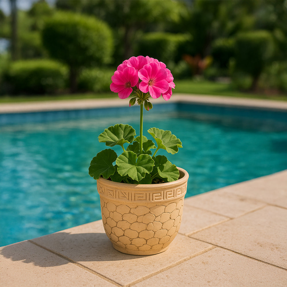 Maceta de terracota con reliquia de arenisca