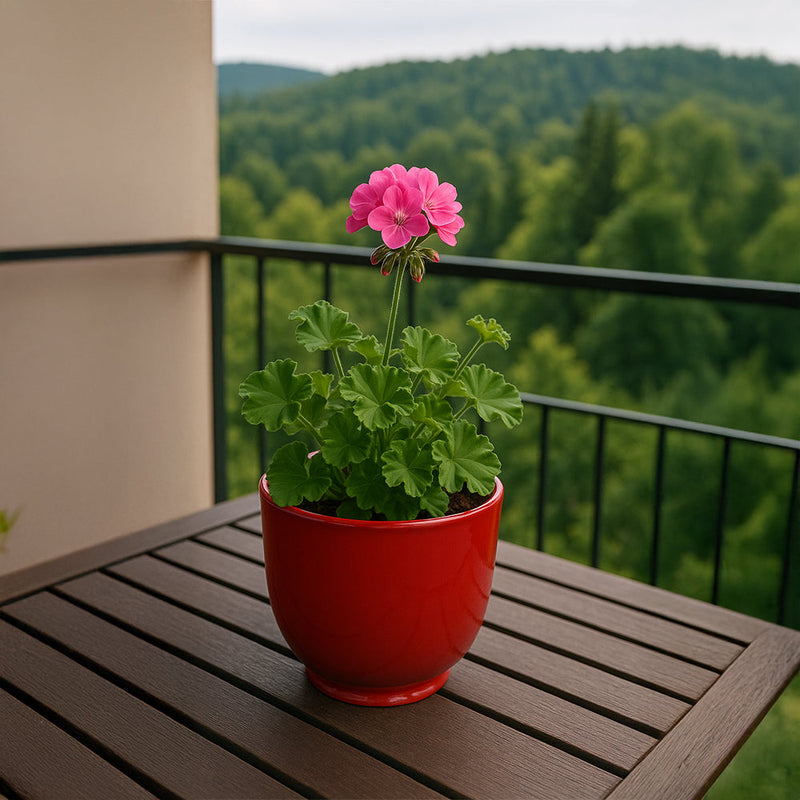 ruby red plant pot Ruby Red Ceramic Flower Pot