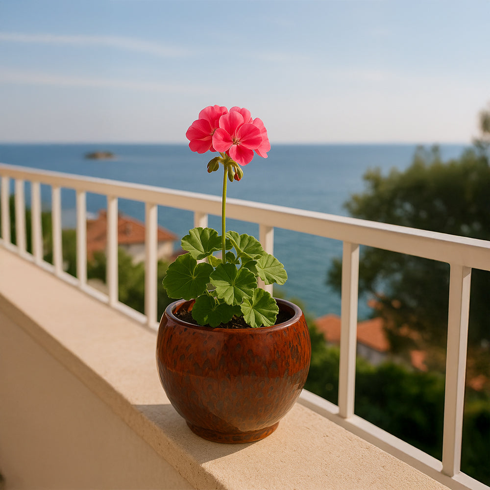 Maceta de cerámica de lava obsidiana