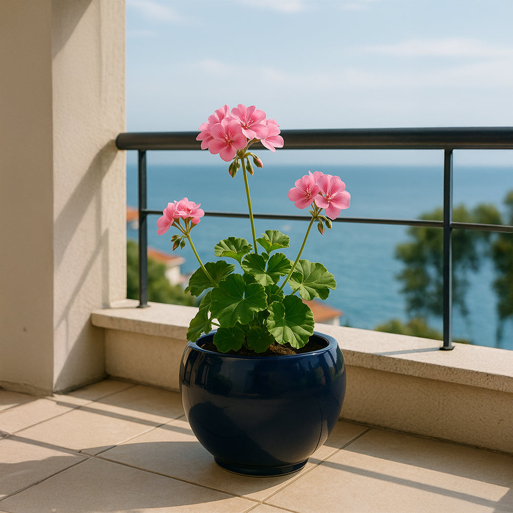Maceta redonda de cerámica azul marino