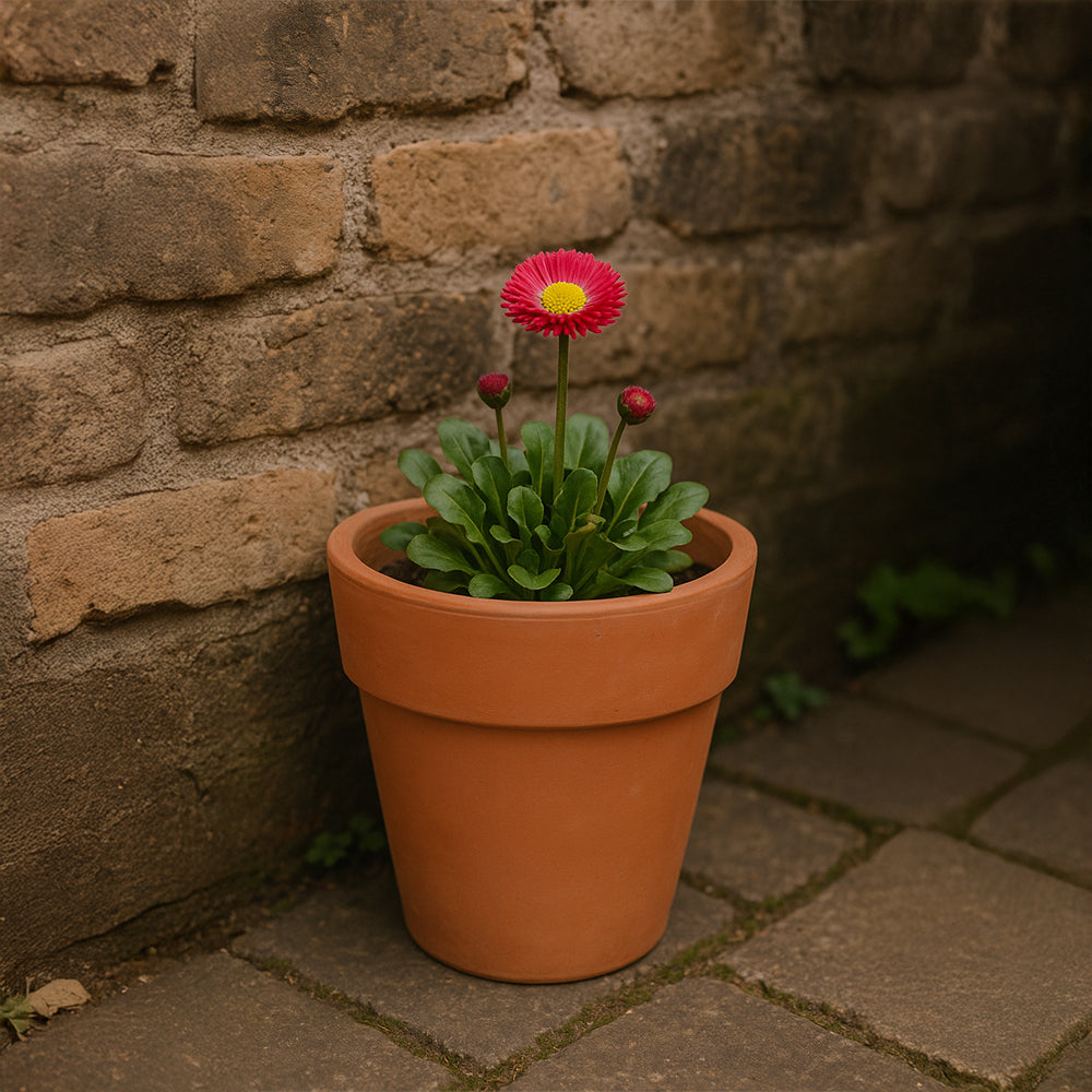 Maceta cónica de terracota natural