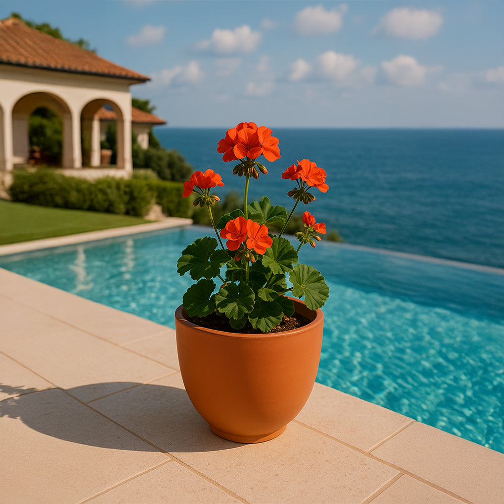 Abgerundeter, breiter Terrakotta-Blumentopf