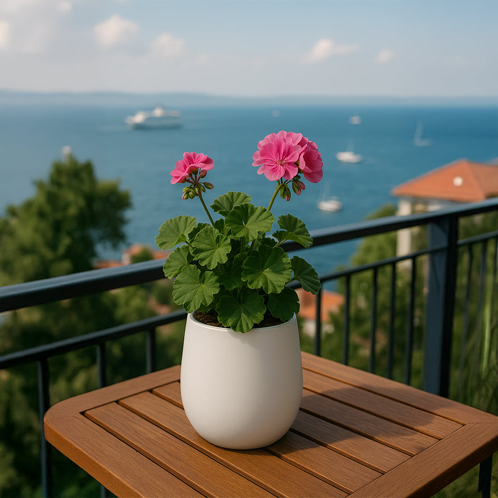 Maceta de cerámica martillada de obsidiana gris