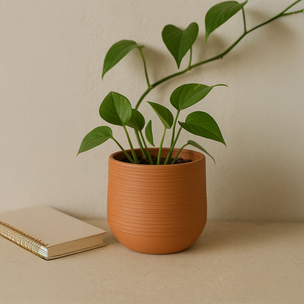 Gerippter runder Terrakotta-Blumentopf