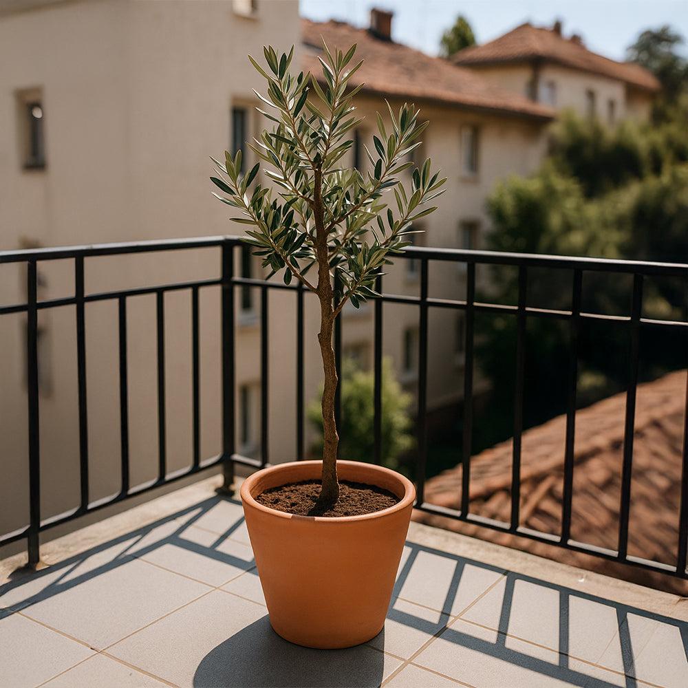 Konischer runder Terrakotta-Blumentopf