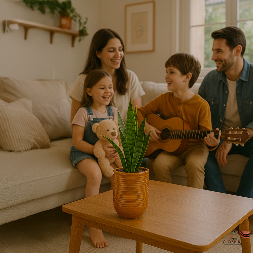 Maceta de cerámica con rayas de color ámbar