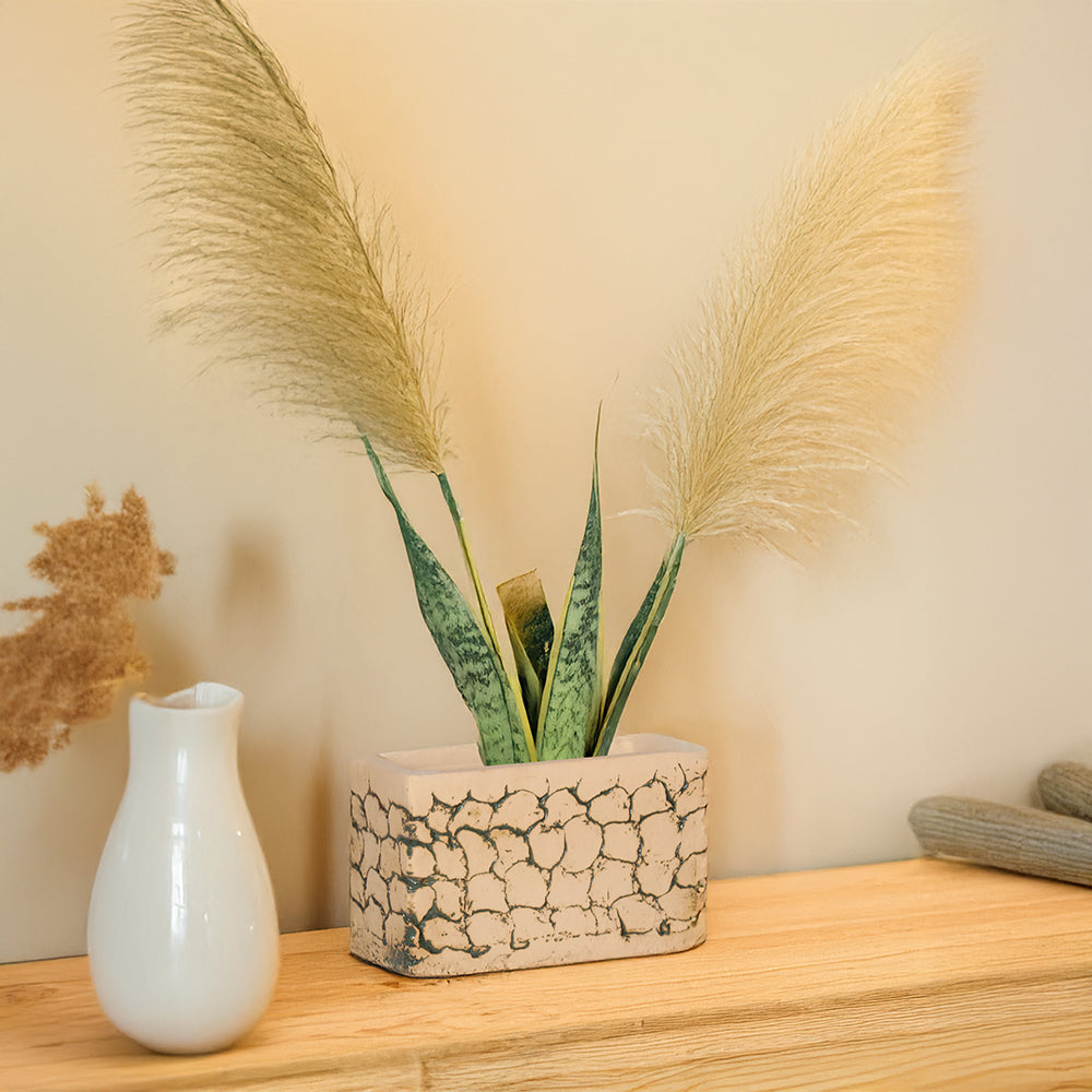 Schmalboot-Blumentopf aus Terrakotta