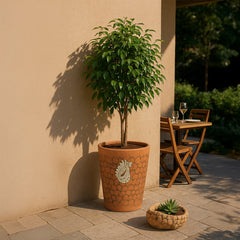 {{ file.title }} - Handcrafted Ceramic & Terracotta by Clayspire
