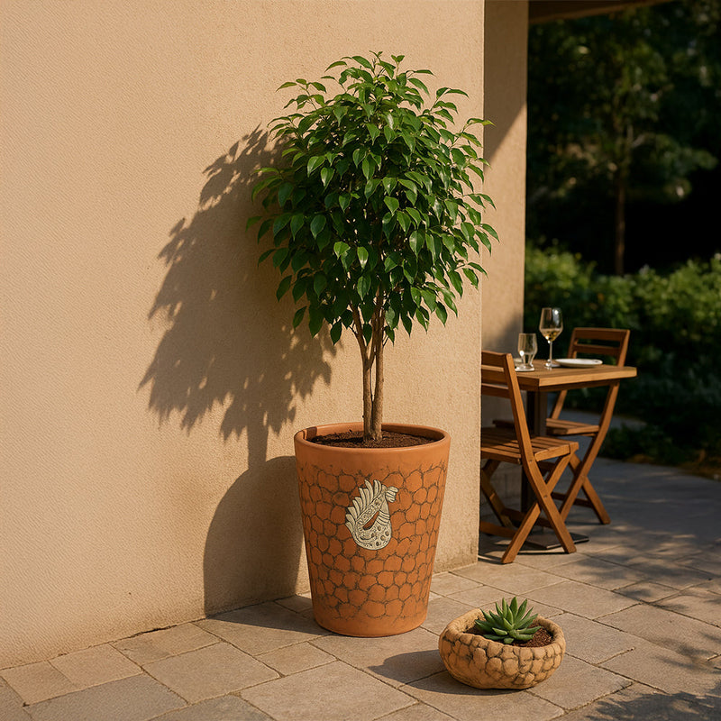 {{ file.title }} - Handcrafted Ceramic & Terracotta by Clayspire