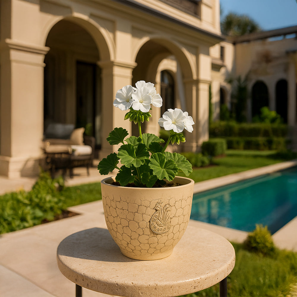 Maceta de terracota texturizada color crema pavo real para exteriores