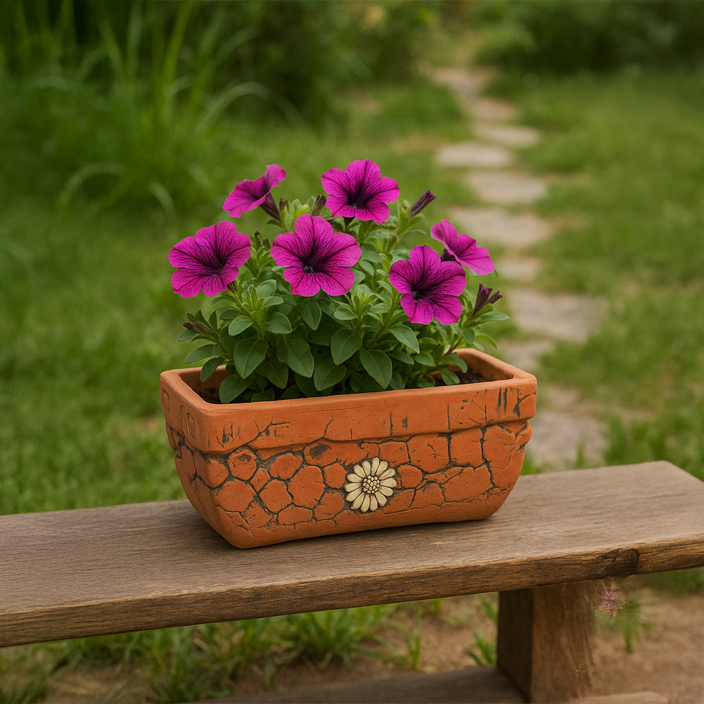 Maceta de terracota para exterior con margaritas en relieve