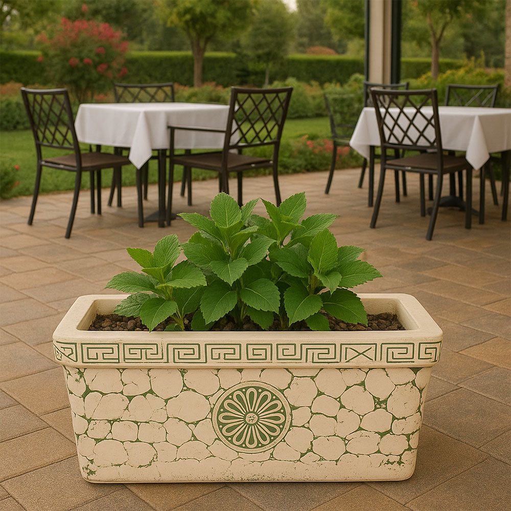 Maceta rectangular de terracota para exterior de color crema