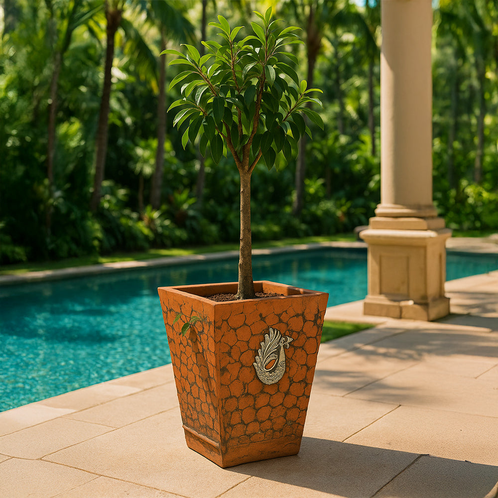 Peacock Relief Square Terracotta Outdoor Planter