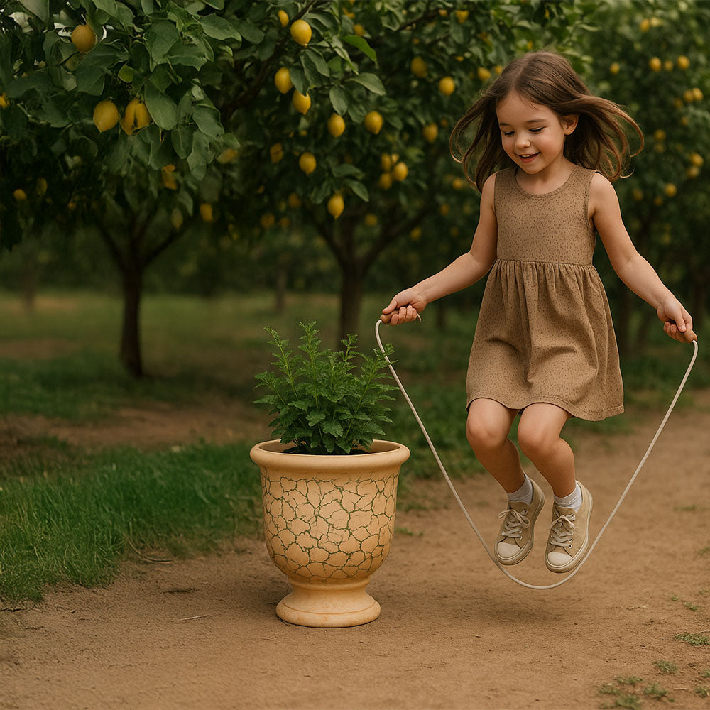 Jardinera de exterior de terracota Anduze beige
