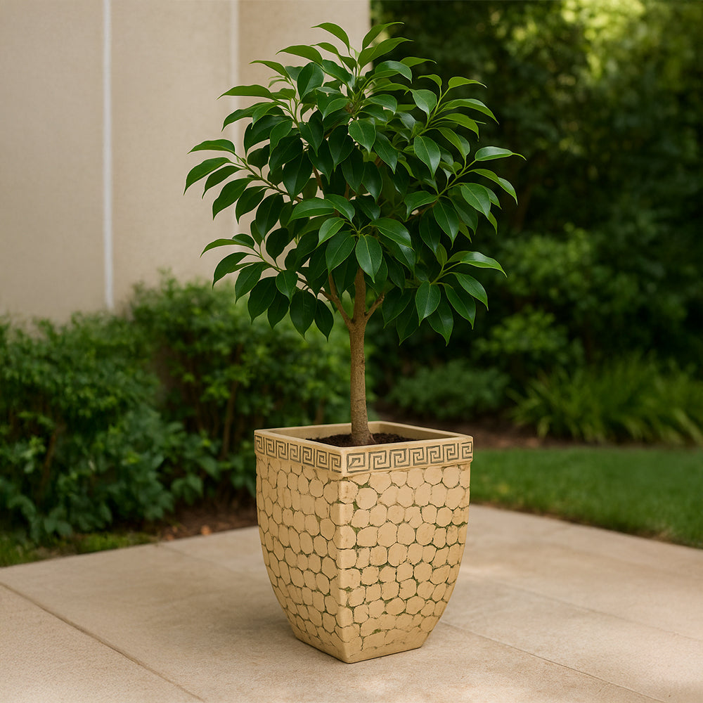 Cream Antique Stone Terracotta Outdoor Planter