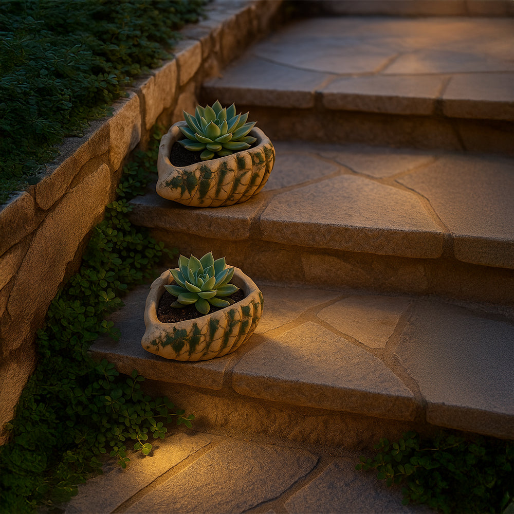 Cream Oyster Shape Terracotta Planter Bowl