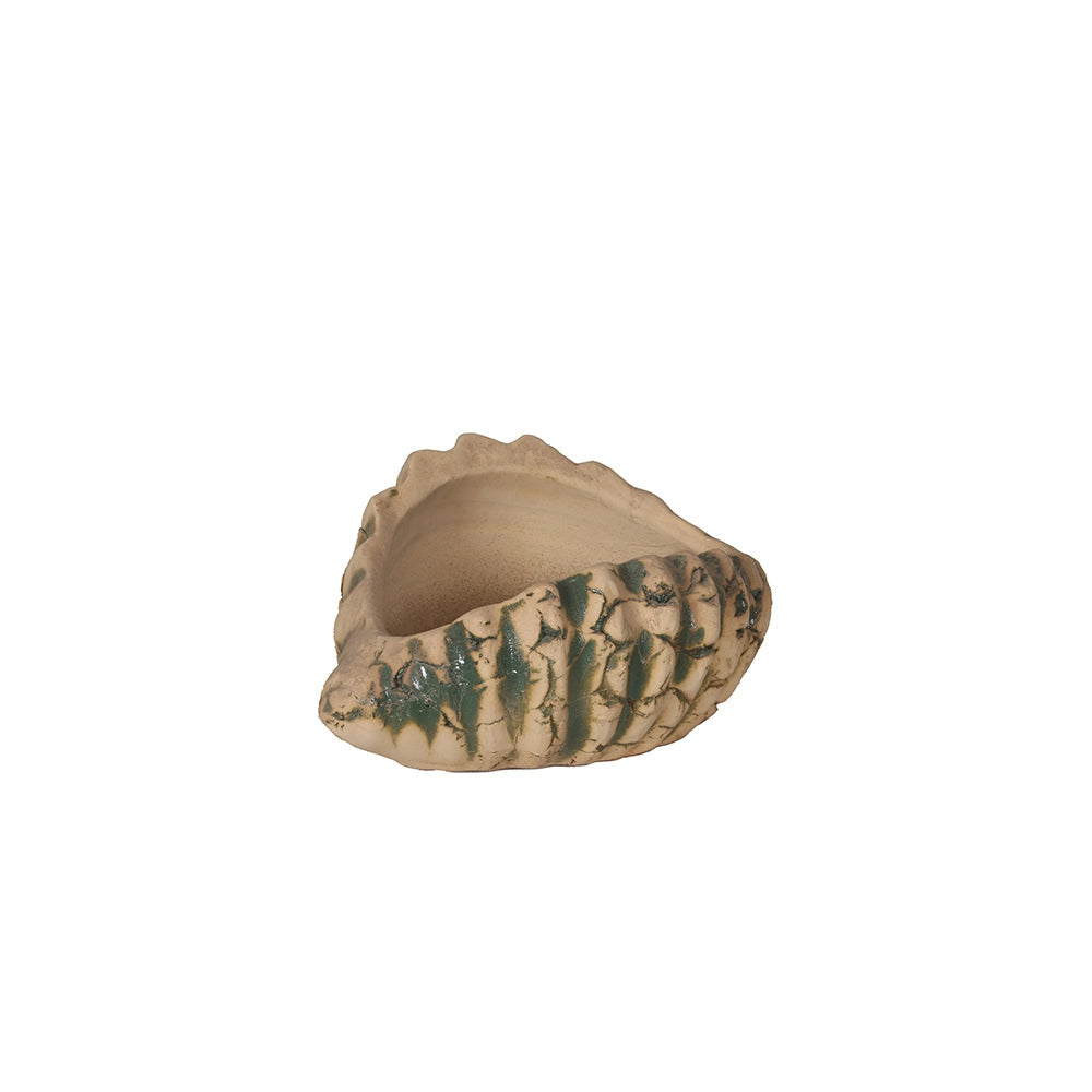Cream Oyster Shape Terracotta Planter Bowl