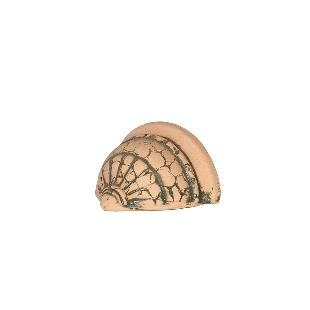 Cream Shell Wall Mount Terracotta Planter Bowl