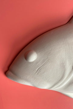 Trout Ceramic Bisque